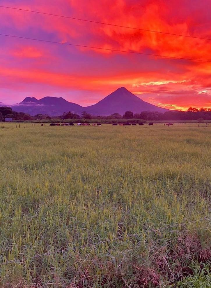 Befox Adventure Hotel La Fortuna ภายนอก รูปภาพ