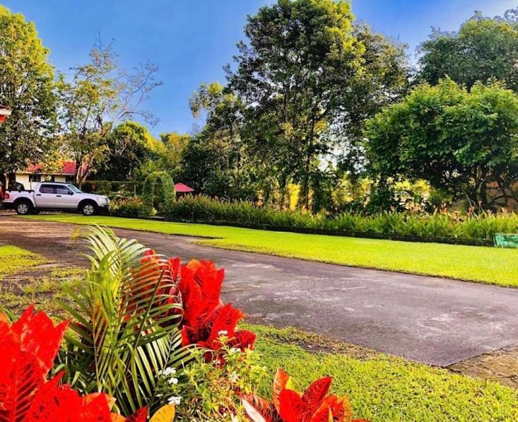 Befox Adventure Hotel La Fortuna ภายนอก รูปภาพ
