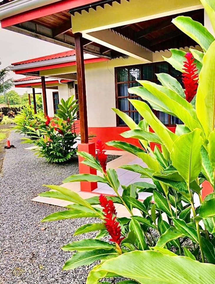 Befox Adventure Hotel La Fortuna ภายนอก รูปภาพ